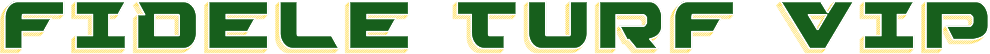 fideleturfvip