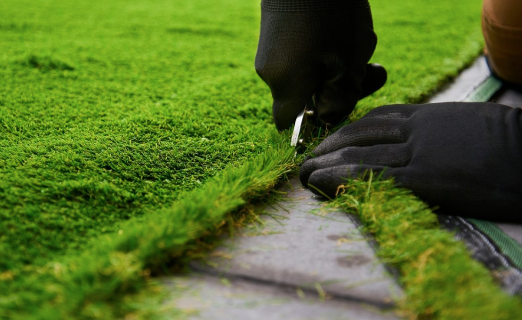 fideleturf turf || fideleturf || fideleturf winning || fidelturf || faithful turf || faithful turf || fidelturf pmu || faithful turf